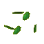 leaves sprite